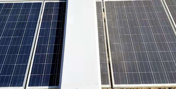High Efficiency Solar Panels Custom Made Multi Species Photovoltaic Panels